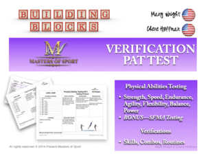 Verification and Testing