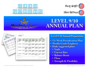 Level 9/10 Annual Plan